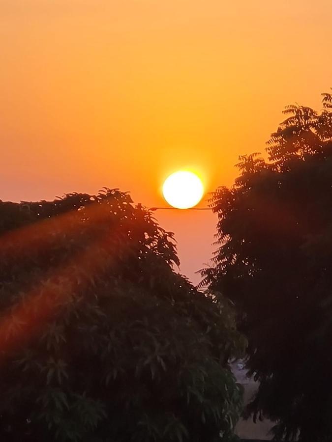 La doré du Sénégal La La Somone Extérieur photo